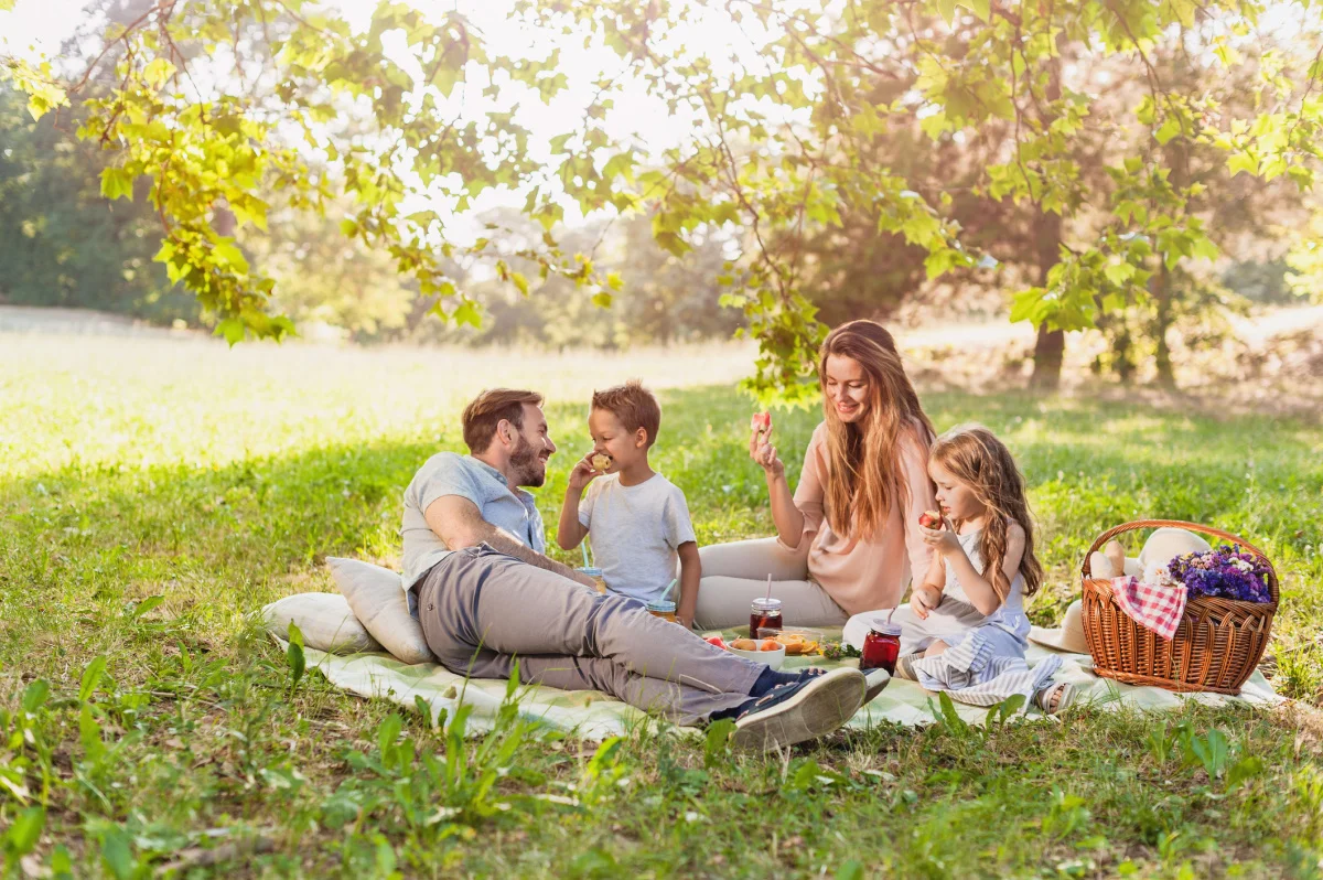 Image of a family having a picnic in a park