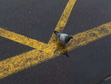 Is Lane Splitting Even Legal?